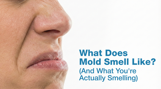 Nose smelling the air with text "What Does Mold Smell Like? The Truth About That Musty Odor"
