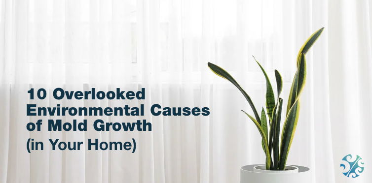 10 Overlooked Environmental Causes of Mold Growth in Your Home
