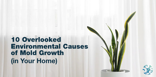 10 Overlooked Environmental Causes of Mold Growth in Your Home