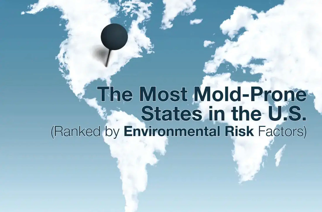 The Most Mold-Prone States in the U.S. Ranked by Environmental Risk Factors