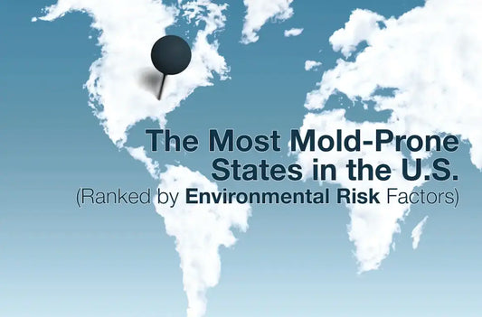 The Most Mold-Prone States in the U.S. Ranked by Environmental Risk Factors