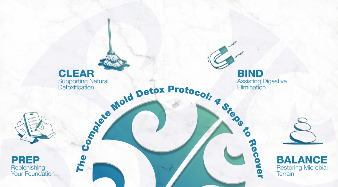 Infographic showing all four protocol steps. Prep, Clear, Bind, and Balance around Alight's logo.