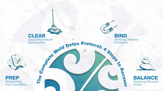 Infographic showing all four protocol steps. Prep, Clear, Bind, and Balance around Alight's logo.