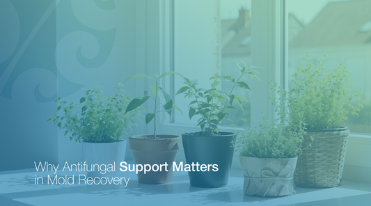 Antifungal Image Alight Logo Gradient 