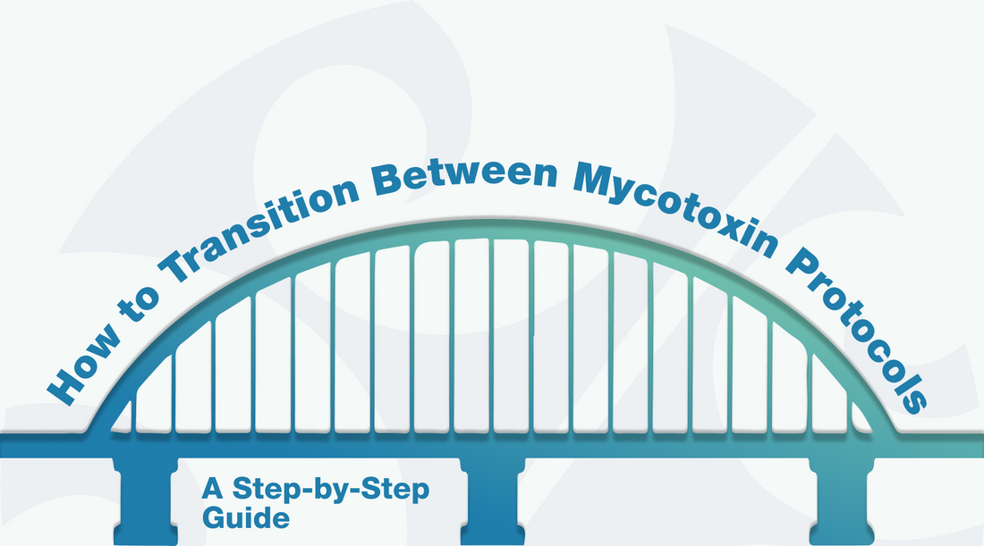 Bridge with Alight's logo with the words "How to Transition Between Mycotoxin Protocols."