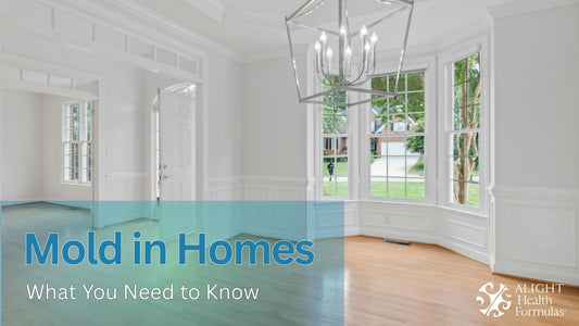 Mold in Homes: What You Need to Know