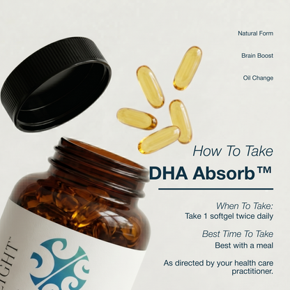DHA Absorb supplement bottle with capsules and usage instructions on a light gray background