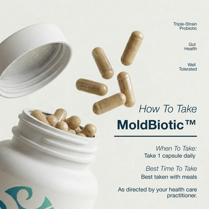 MoldBiotic probiotic capsules spilling out of a white container with text on a light gray background.
