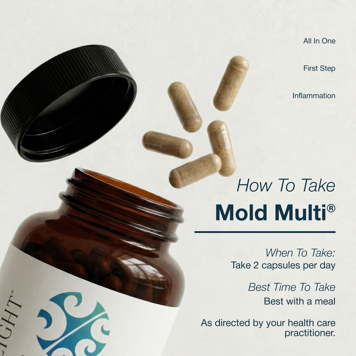 Mold Multi® | All-in-One Multivitamin – Alight Health Formulas