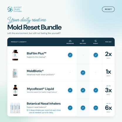 Mold Reset Bundle