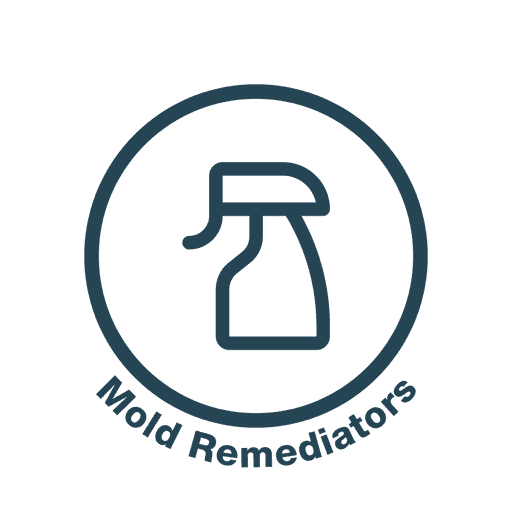 Home Inspectors Icon